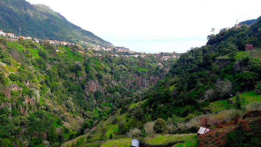 Referta / Castelejo - Levada Walk - Porto da Cruz: the finish with poncha, cake, and local fruit