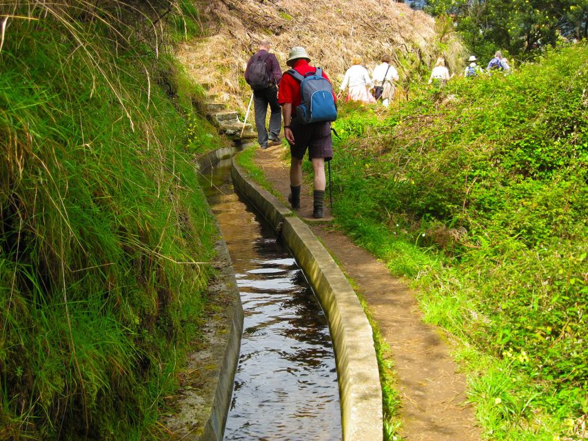Referta / Castelejo - Levada Walk - Price and value: what $38 buys you (and what it does not)