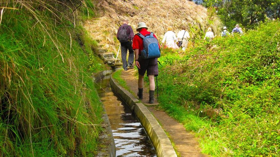 Referta / Castelejo - Levada Walk - Getting picked up in Funchal, Câmara de Lobos, or Caniço, then starting on the trail