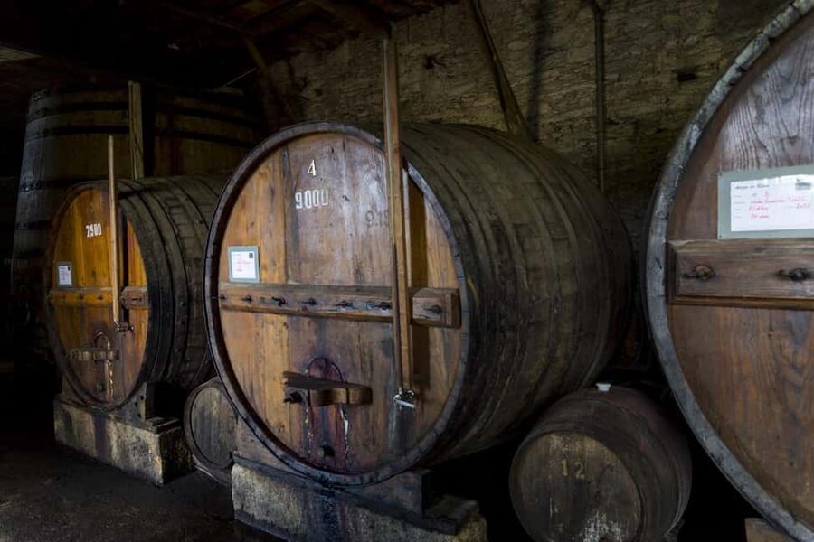 Régua: Wine tasting at a Quinta, traditional lunch, cruise, and train ride - Key highlights worth getting excited about