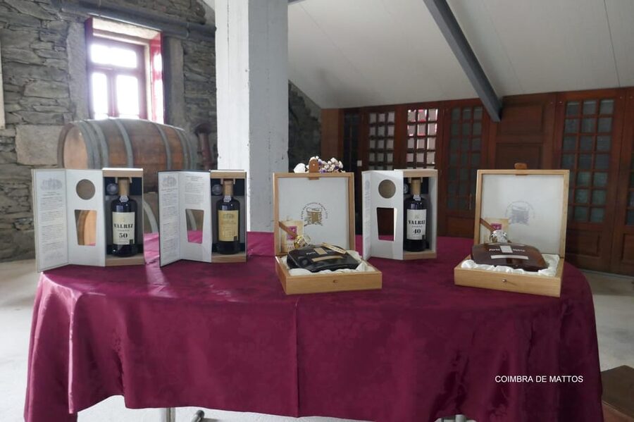 Régua: Wine tasting at a Quinta, traditional lunch, cruise, and train ride - Coimbra de Mattos wine tasting: 5 wines, Douro meets Porto