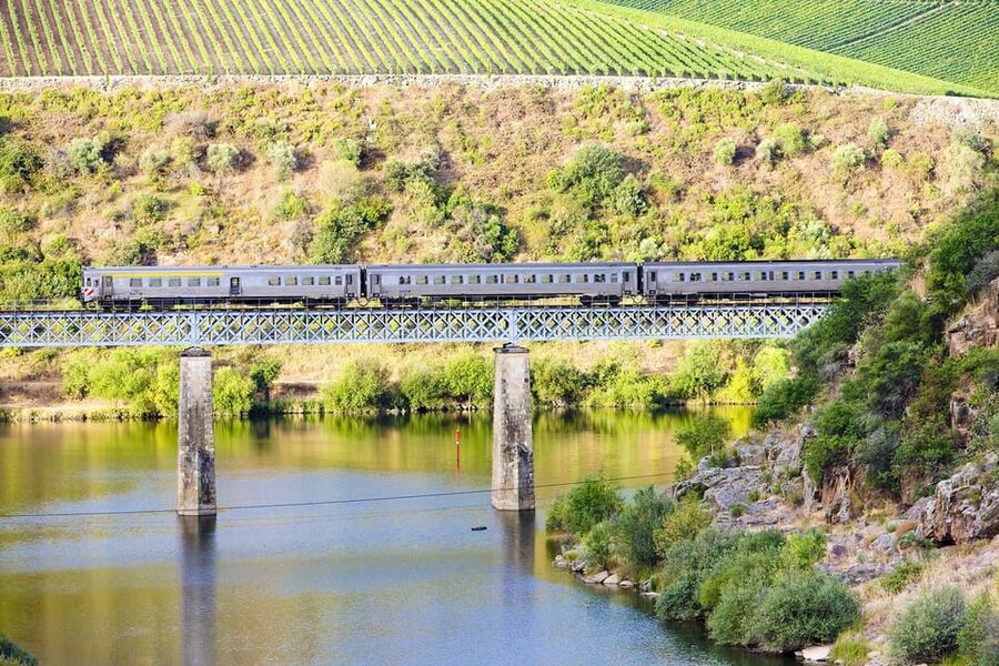 Régua: Wine tasting at a Quinta, traditional lunch, cruise, and train ride - Cruise Régua to Pinhão: when the Douro turns postcard practical