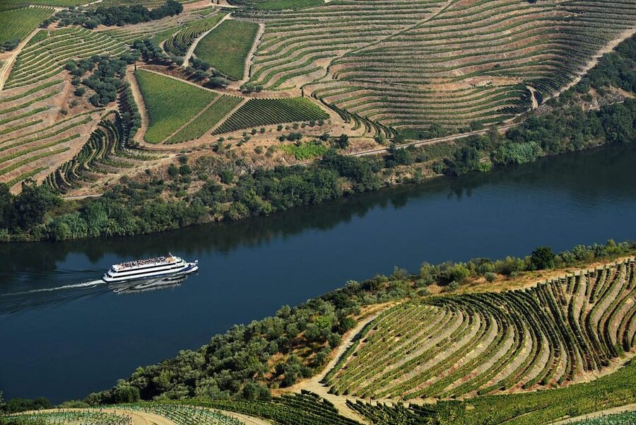 Régua: Wine tasting at a Quinta, traditional lunch, cruise, and train ride - Pinhão free time and the train back to Régua