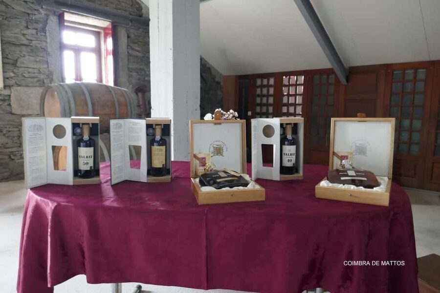 Régua: Wine tasting at a Quinta, traditional lunch, cruise, and train ride - What I’d pack and how to get the best day from it