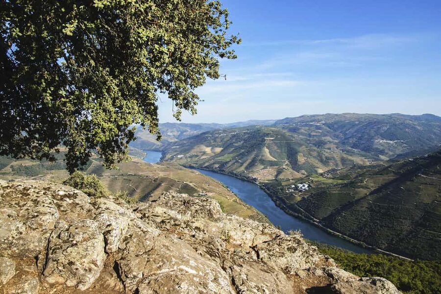 Régua: Wine tasting at a Quinta, traditional lunch, cruise, and train ride - Who should book this Régua to Pinhão day?