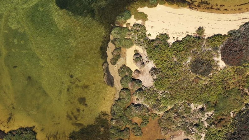 Ria Formosa: Armona and Culatra Islands 3-Hour Boat Tour - Key Points I’d Prioritize Before You Go
