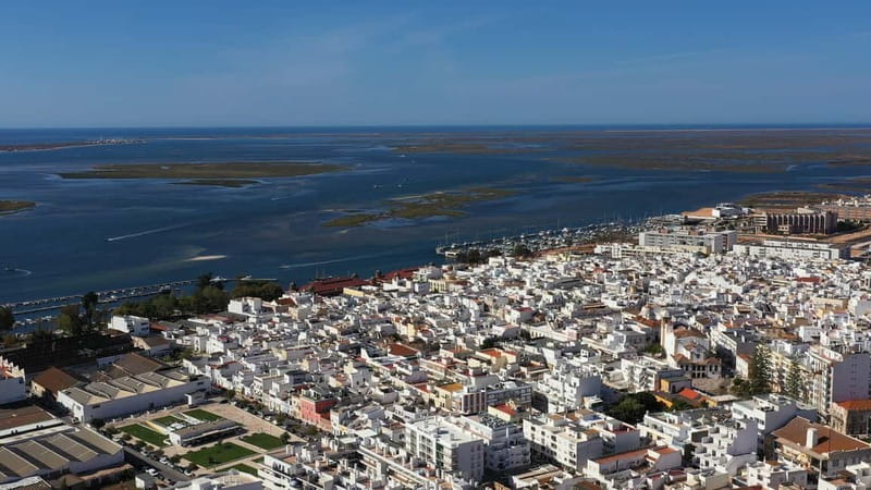 Ria Formosa: Armona and Culatra Islands 3-Hour Boat Tour - Culatra Island: A Car-Free Community With Oyster Culture