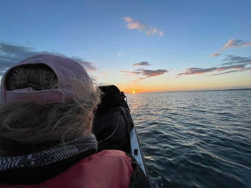 Ria Formosa: Armona and Culatra Islands 3-Hour Boat Tour - Armona Island: Quiet, Boat-Only Serenity and Big Photo Potential