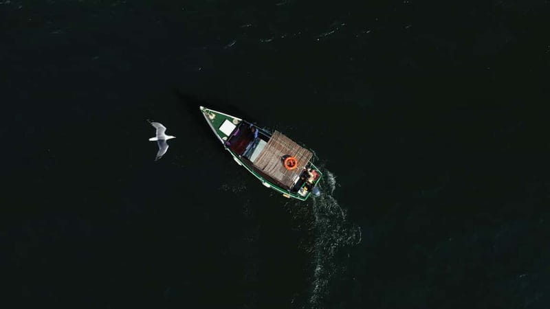 Ria Formosa: Armona and Culatra Islands 3-Hour Boat Tour - What to Expect on the Schedule, Stop by Stop