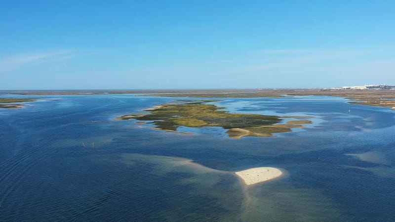 Ria Formosa: Armona and Culatra Islands 3-Hour Boat Tour - Who This Tour Suits Best