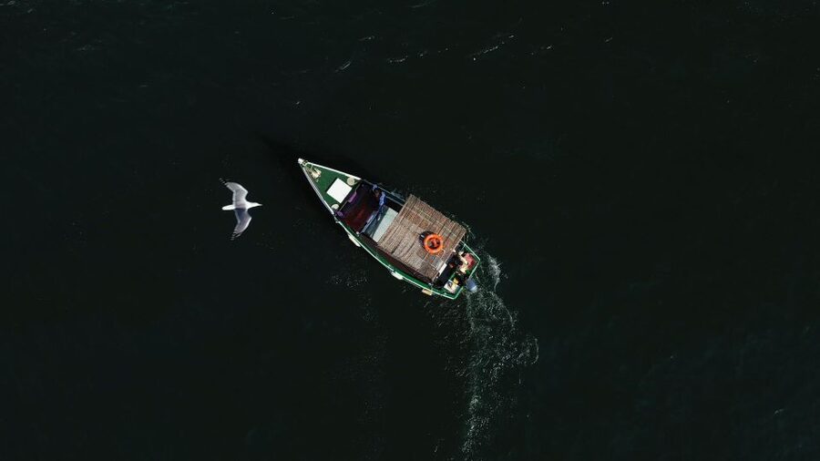 Ria Formosa: Armona and Culatra Islands 3-Hour Boat Tour - Should You Book This Armona and Culatra 3-Hour Boat Tour?