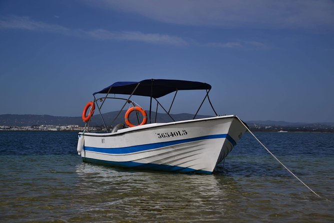 Ria Formosa - Boat trip to the 3 Islands: Armona | Culatra Island | Lighthouse - Ria Formosa by boat: why this outing feels special