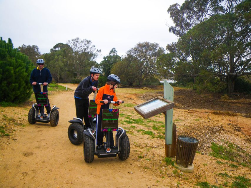 Ria Formosa National Park Segway Tour & Seafood Lunch - Into the Park: Trails, Wildlife, and a Peaceful Pace