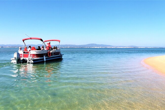 Ria Formosa Natural Park and Islands Boat Cruise from Faro - The Boat, the Guide, and How the 3 Hours Actually Flow