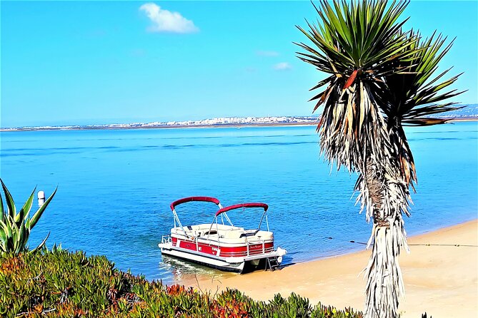 Ria Formosa Natural Park and Islands Boat Cruise from Faro - Stop 3: Ilha do Farol Sand Houses, Narrow Streets, and a Beach Bar Break