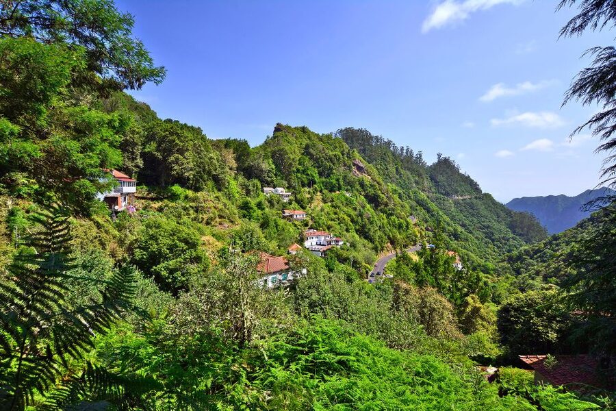 Ribeiro Frio / Portela - Levada Walk - Ribeiro Frio to Portela: Why This Is Such a Famous Levada Walk