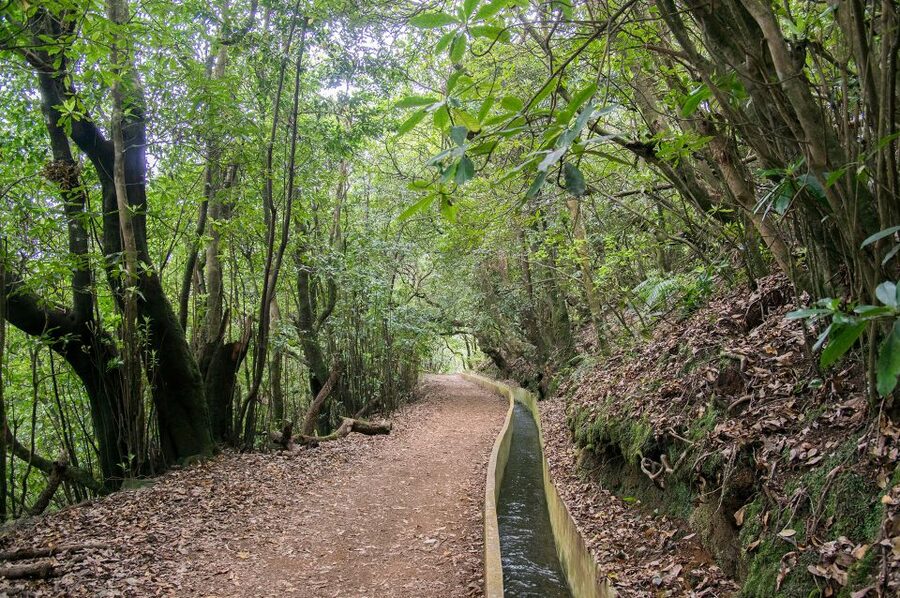 Ribeiro Frio / Portela - Levada Walk - The Lamaceiros Finish: Porto da Cruz and Eagle Rock From Far Below