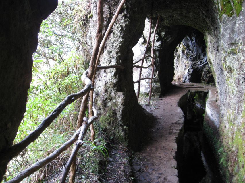 Ribeiro Frio / Portela - Levada Walk - The Levada Path Itself: Light, Shade, and Trout Right Next to You