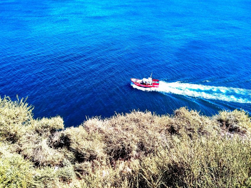 Sagres & Cape St. Vincent Half-Day Tour from Lagos - Should You Book Sagres & Cape St. Vincent from Lagos?