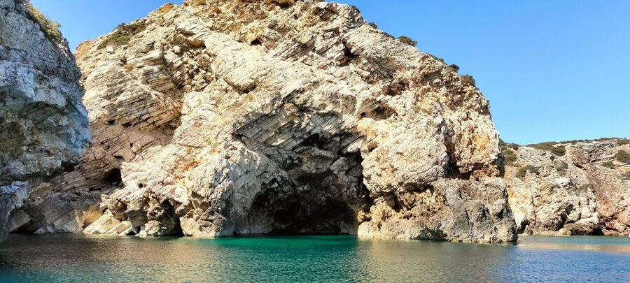 Sagres: Wildlife Tour Dolphins and Caves - Sagres, dolphins, and caves in one practical boat day