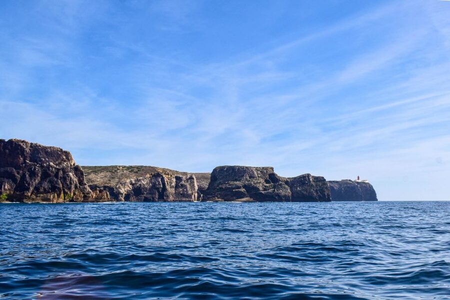 Sagres: Wildlife Tour Dolphins and Caves - Meeting at Porto da Baleeira, then straight to the action