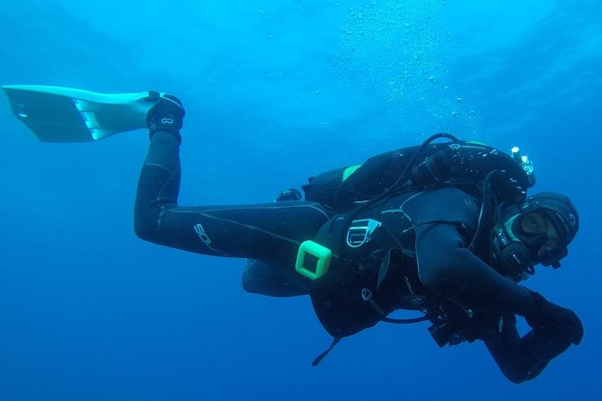 Scuba Diving Albufeira-Double Dive Trip - Key points that matter before you go