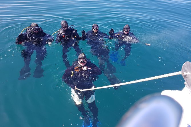 Scuba Diving Albufeira-Double Dive Trip - A half-day double scuba session from the Marina de Albufeira