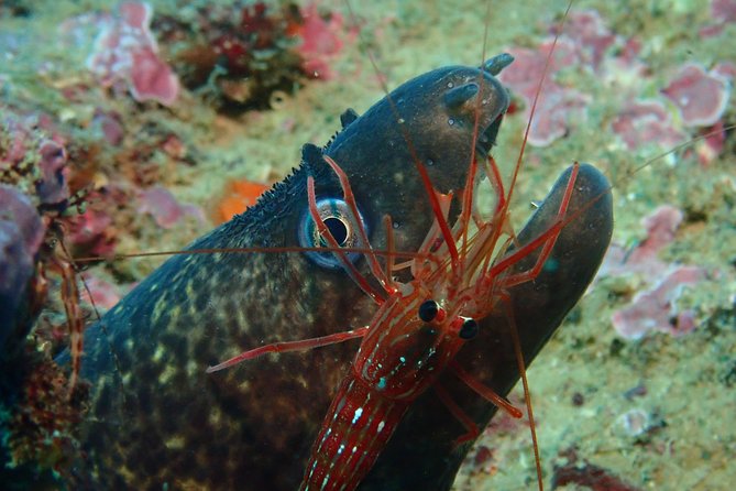 Scuba Diving Albufeira-Double Dive Trip - After you surface: hot showers and logbook notes