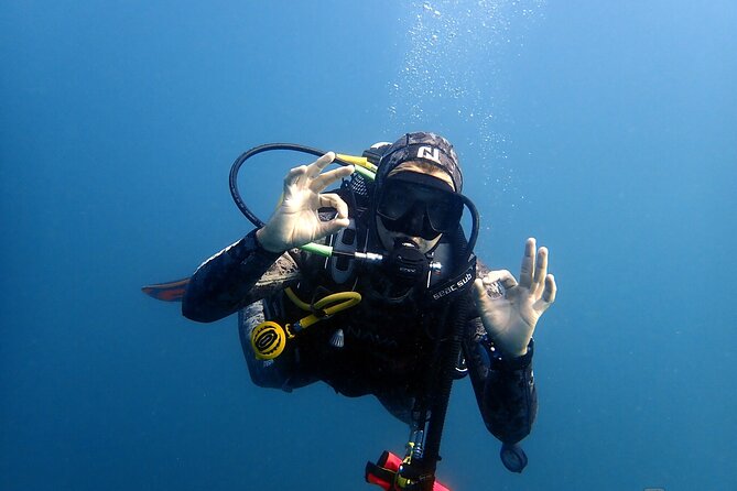 Scuba Diving Albufeira-Double Dive Trip - How to decide if the Algarve conditions fit you