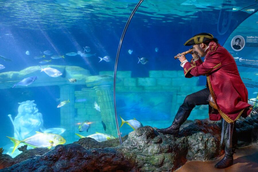 SEA LIFE Porto Full-Day Entrance Ticket - SEA LIFE Porto in Castelo do Queijo, and Why the Setting Helps