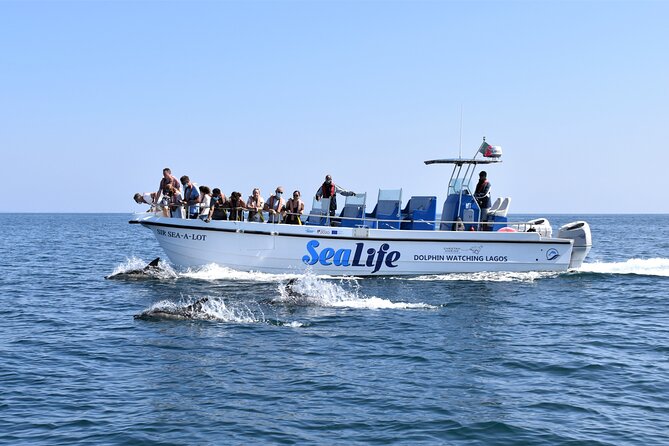 Sealife Sea Safari, Dolphin Watching with Marine Biologist's Lagos - Key things that make Sealife Lagos worth it