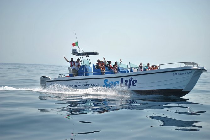 Sealife Sea Safari, Dolphin Watching with Marine Biologist's Lagos - Starting at Lagos Marina, you’re in the action fast