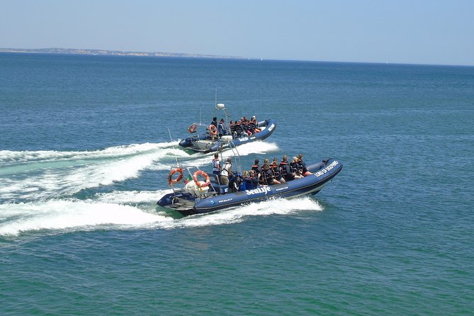 Sealife Sea Safari, Dolphin Watching with Marine Biologist's Lagos - When dolphins get close: safe viewing and real behavior