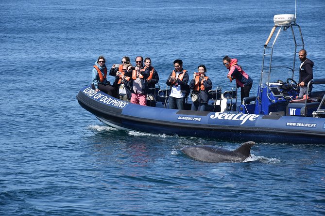 Sealife Sea Safari, Dolphin Watching with Marine Biologist's Lagos - Boats on the Atlantic: fast when you need it, comfortable when you don’t