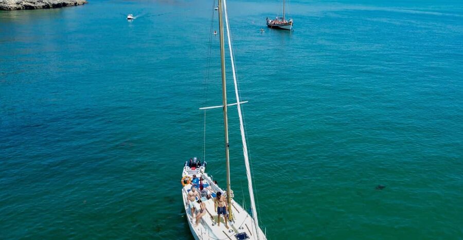 Serra da Arrábida : Sailing Tour - Out toward the Sado estuary: where the dolphins show up