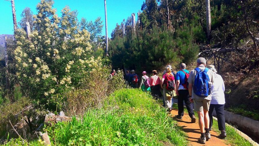 Serra de Água Valley Levada Walk - Key highlights worth knowing before you go