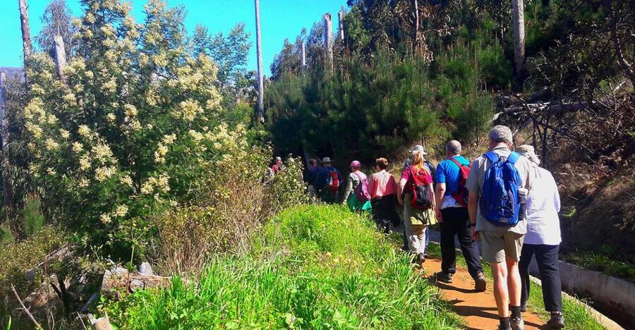 Serra de Água Valley Levada Walk - The 5km levada walk: gentle footing with real valley drama