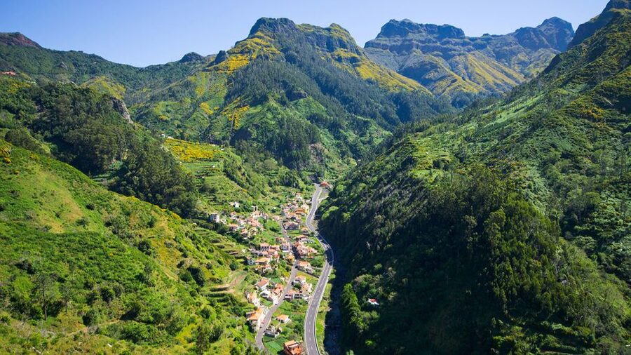 Serra de Água Valley Levada Walk - Plant and water spotting: what your guide helps you notice