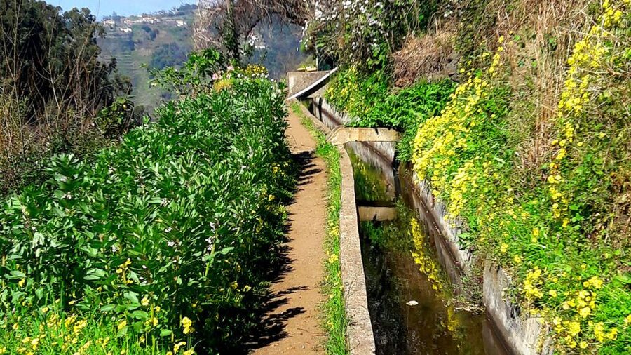 Serra de Água Valley Levada Walk - Weather reality: rain makes mud and narrow bits more noticeable