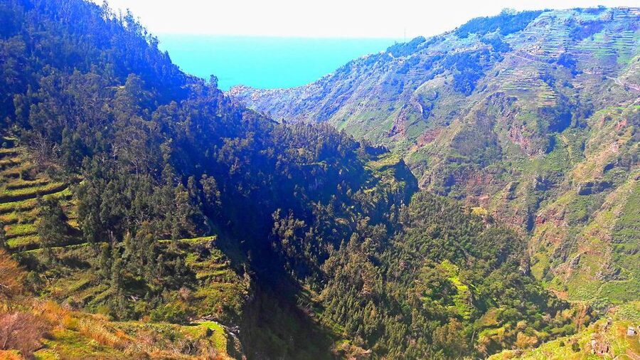 Serra de Água Valley Levada Walk - The end of the walk: coffee and pastries, plus a calm finish