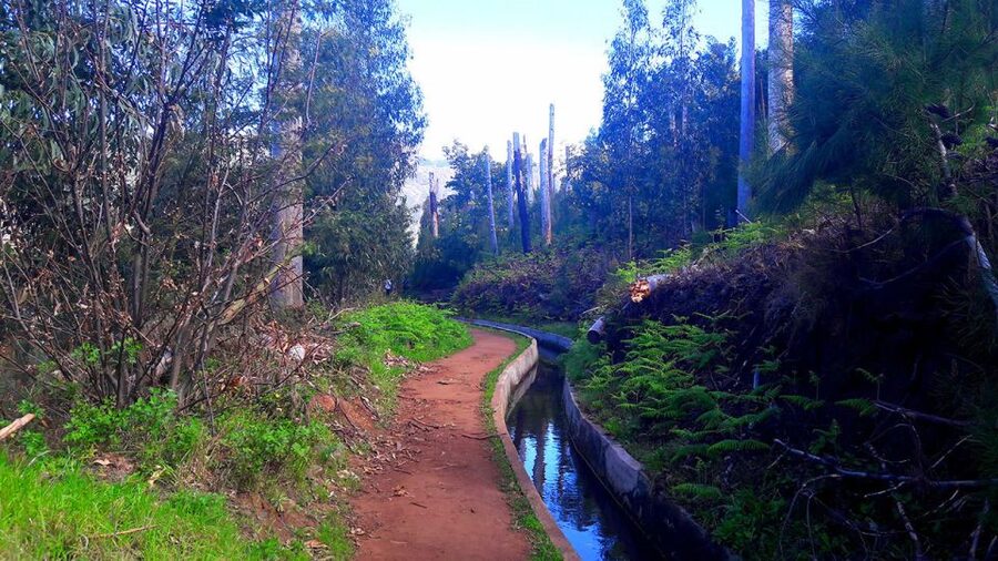 Serra de Água Valley Levada Walk - Price and logistics: is $38 good value for what you get?