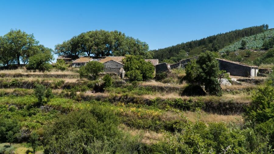 Serra de Monchique & Bravura Half Day Off-Road Day Trip - Serra de Monchique: The Algarve’s Rural Switch