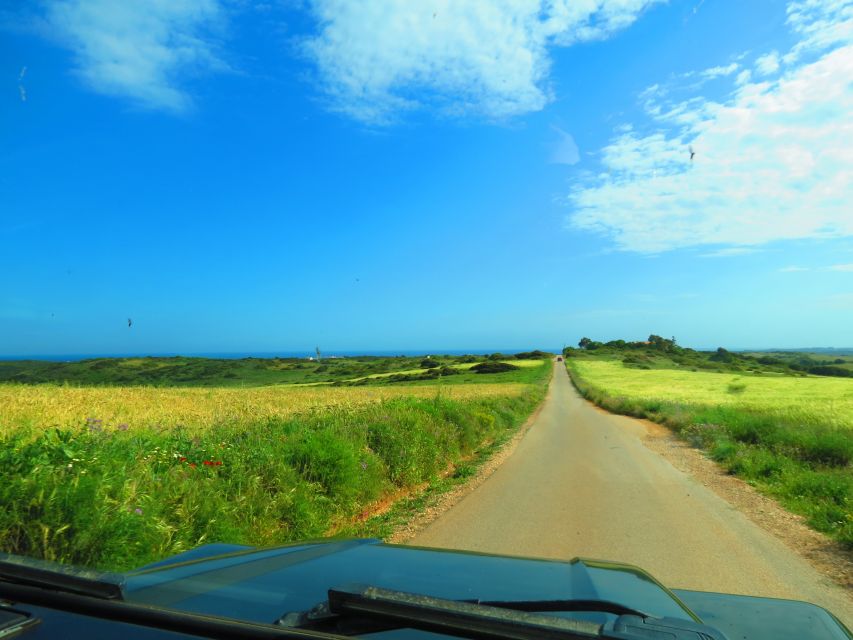 Serra de Monchique & Bravura Half Day Off-Road Day Trip - Village Café Stop for a More Human Algarve