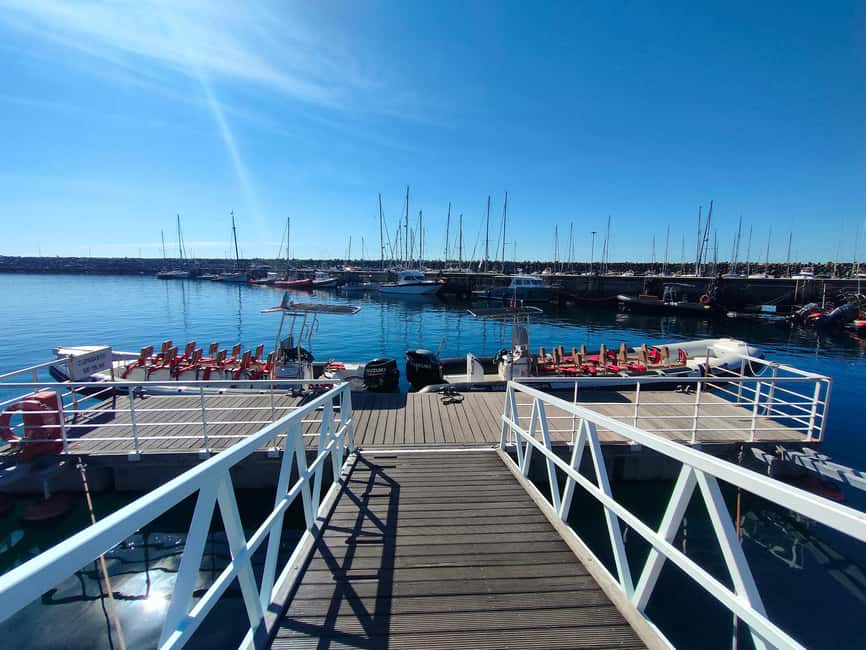 Sesimbra: Arrábida and Espichel Caves Tour and Snorkel - Snorkeling in a protected maritime park, with weather reality
