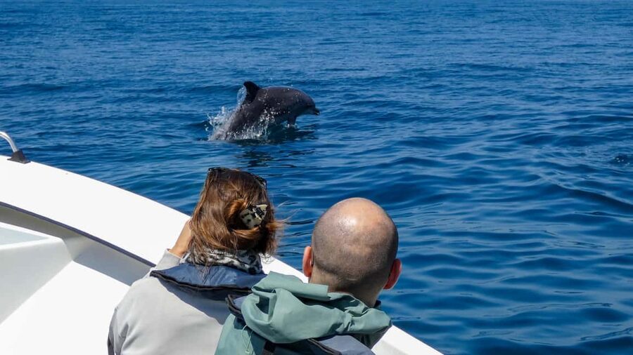 Sesimbra: Arrábida Dolphin and Whale Watching with Biologist - Praia da Mijona: quick photo time, real coastline views