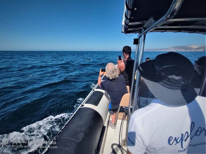Sesimbra: Dolphin and Whales Watching with Biologist Guide - From Avenida dos Náufragos to the Bolhas Tours Marine Center