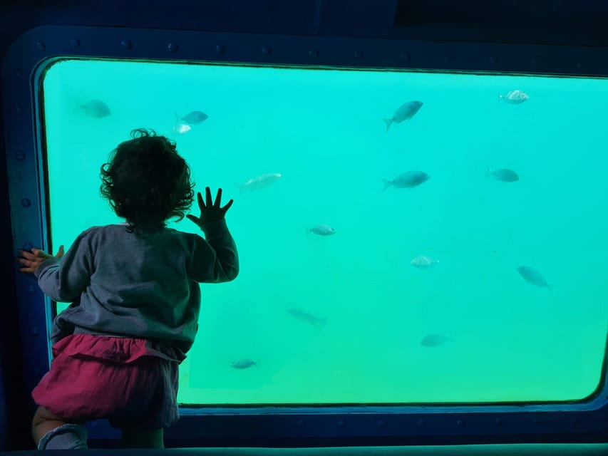 Sesimbra: Family Friendly Boat Sea Tour w/ Submarine Vision - Practical Tips for Getting the Most From the Tour