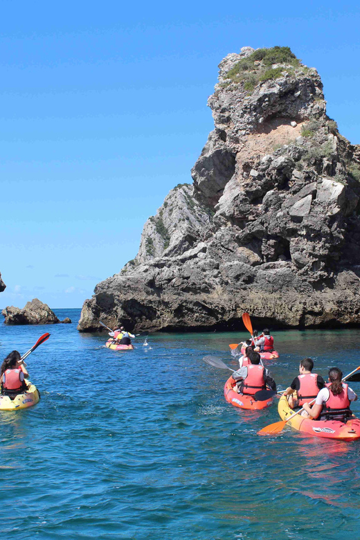 Sesimbra: Ribeiro Cavalo Beach, Caves, & Arrábida Kayak Tour - The second kayaking segment, how you end strong