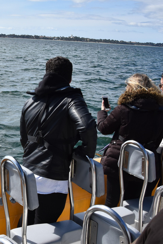 Setúbal and Tróia: Dolphin Watching and Arrábida Bays - Key things that make this tour worth your time