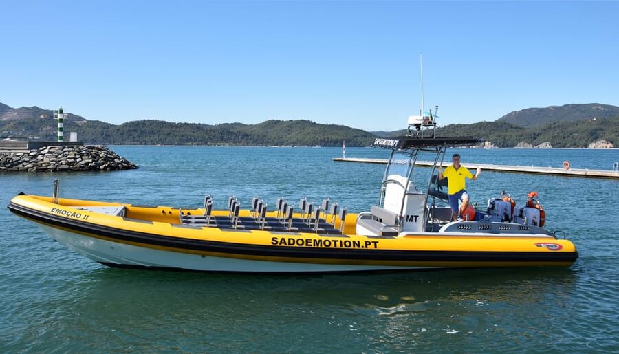 Setúbal and Tróia: Dolphin Watching and Arrábida Bays - Practical tips so your trip goes smoothly